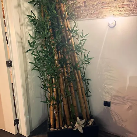 Quarto em Acomodações Particulares Nuriahboutique