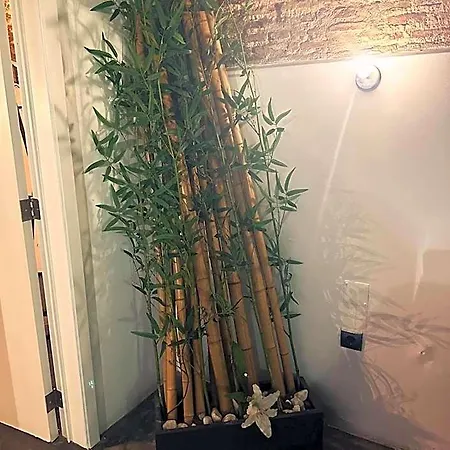 Nuriahboutique Séjour chez l'habitant *