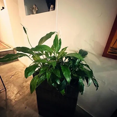 Nuriahboutique Δωμάτια σε οικογενειακή κατοικία *